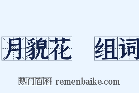 月貌花龐组词是什么意思的图片